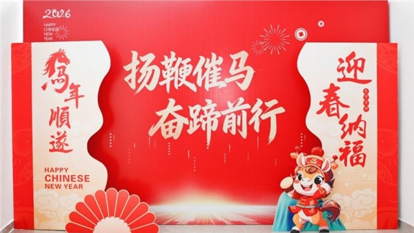 揚鞭催馬開新局，奮蹄前行譜華章——特力公司2025年度總結表彰大會圓滿舉行